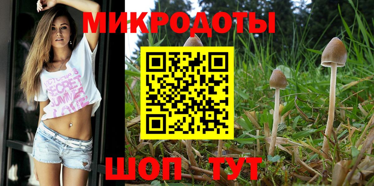 Галлюциногенные грибы Psilocybine cubensis  наркошоп  Лесной  Галлюциногенные грибы мухоморы  Вход с VPN 